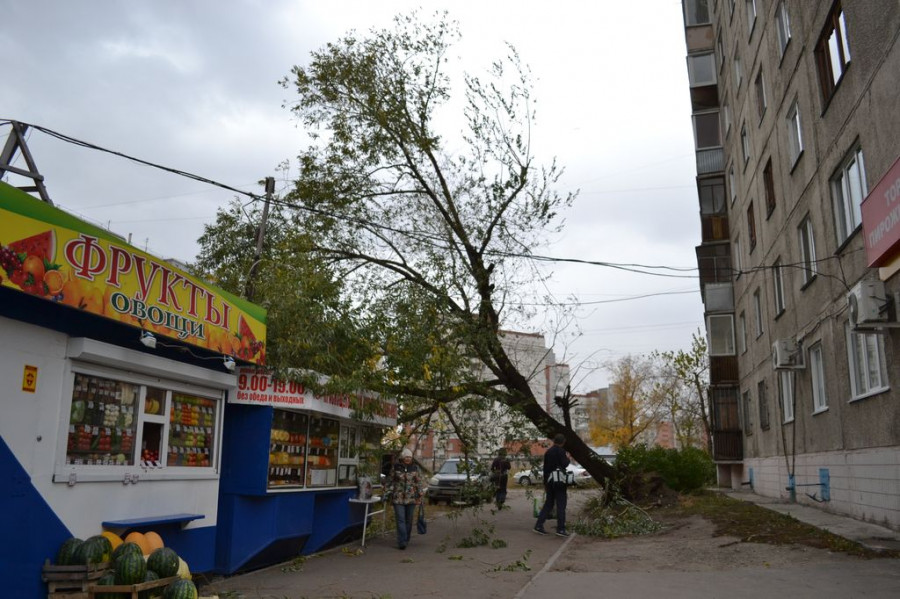 Ураган в Барнауле, 4 октября 2015.