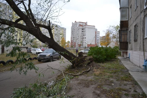 Ураган в Барнауле, 4 октября 2015.