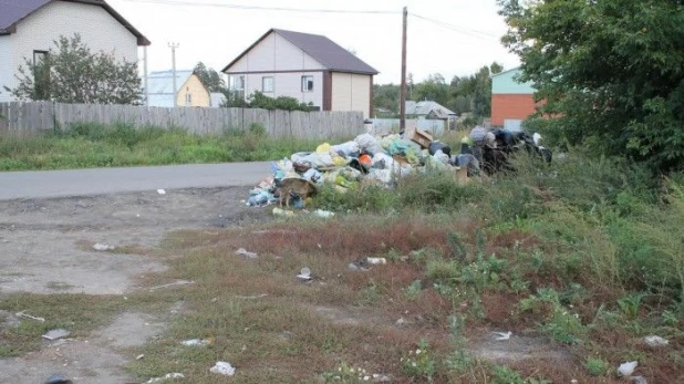 Свалка во Власихе.