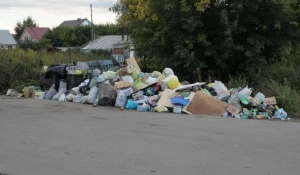 Свалка во Власихе.