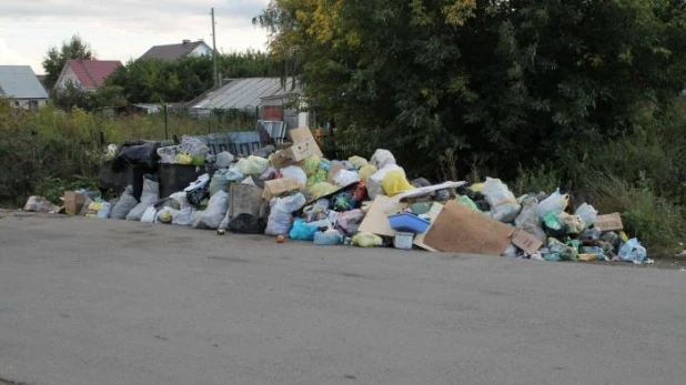 Свалка во Власихе.