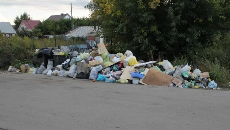 Свалка во Власихе.