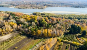 Барнаульский дендрарий с высоты птичьего полета.