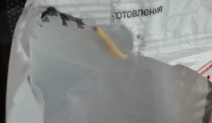 Мюсли с паутиной и червяками.