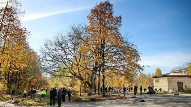 Тёплая осень в Барнауле.