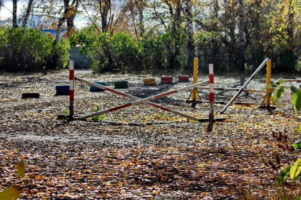 Тёплая осень в Барнауле.