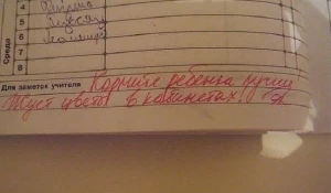 Записи от учителей в школьных дневниках.