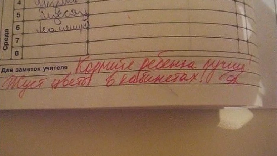 Записи от учителей в школьных дневниках.