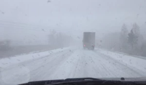 В Алтайском крае выпал снег.