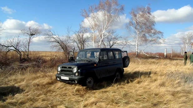 На Алтае новосибирские браконьеры убили двух косуль.