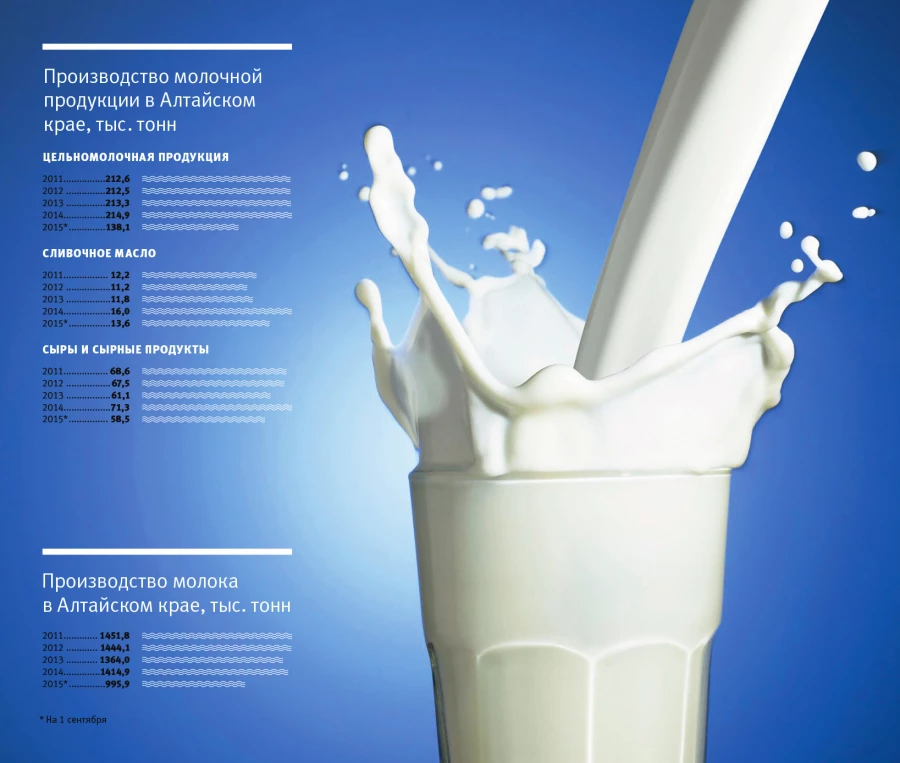 Производство молочной продукции в Алтайском крае.