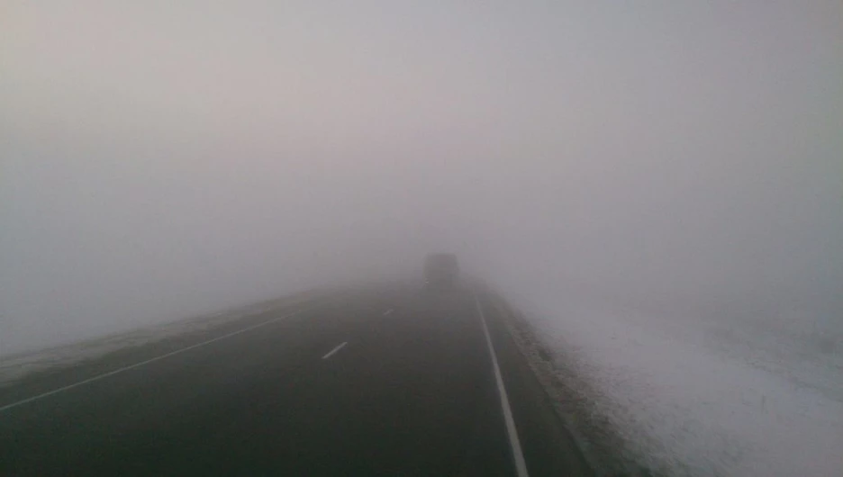 Туман на трассе Барнаул-Бийск.