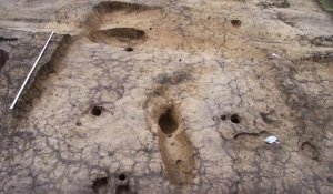 Раскопки на могильнике Тартас-1, Венгерово, Новосибирская область.