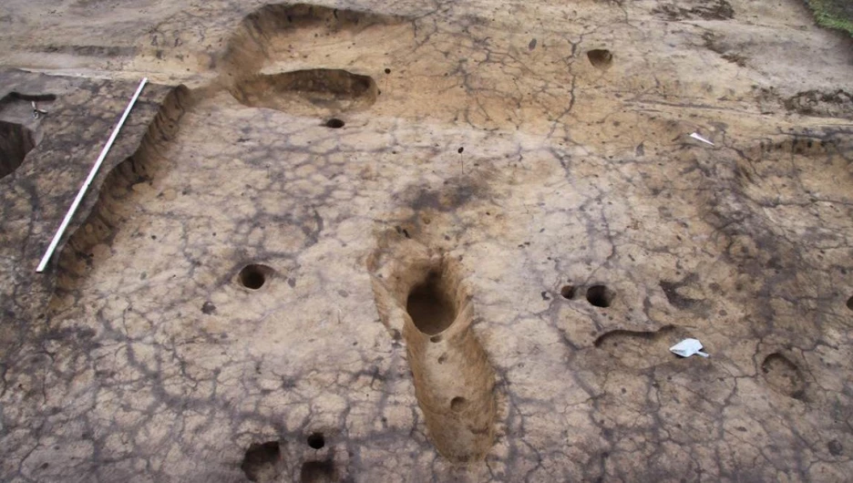 Раскопки на могильнике Тартас-1, Венгерово, Новосибирская область.