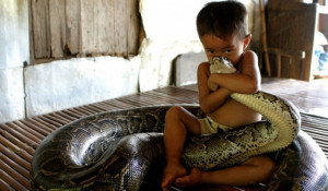 Ребенок и змея.