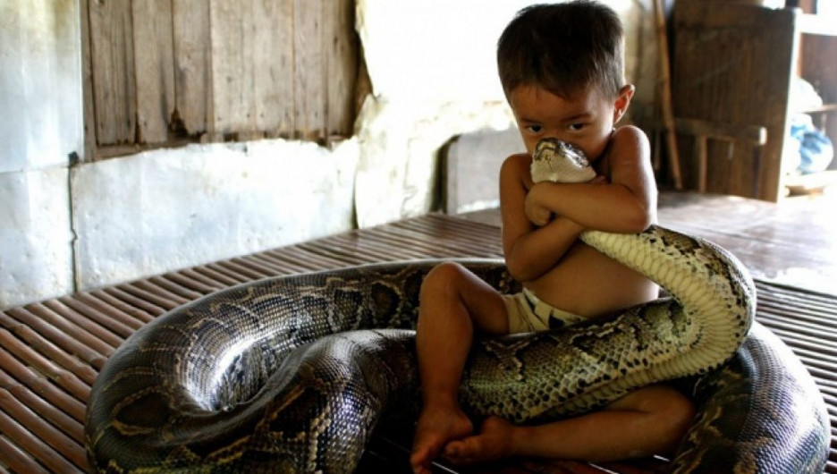 Ребенок и змея.