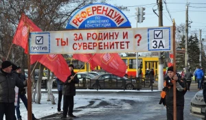 Пикет в поддержку Владимира Путина 4 ноября 2015 года.