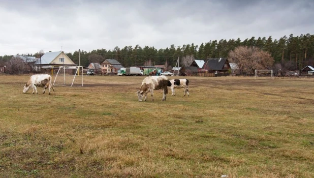 Школьный стадион в Бобровке.