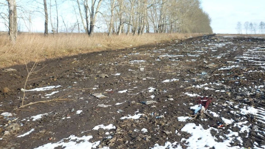 Свалка в поселке Центральный.