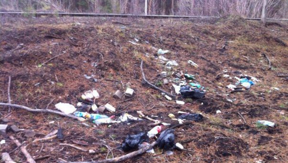 Свалка мусора в Барнауле.