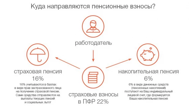 Накопительная пенсия: успейте сохранить ее до 31 декабря