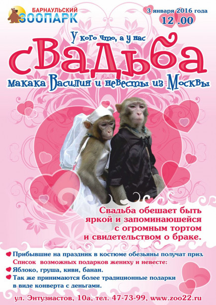 В Барнауле состоится свадьба макак.