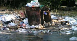 Пенсионерка и мусорка.