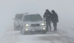 Сотрудники ГИБДД на дороге в метель.