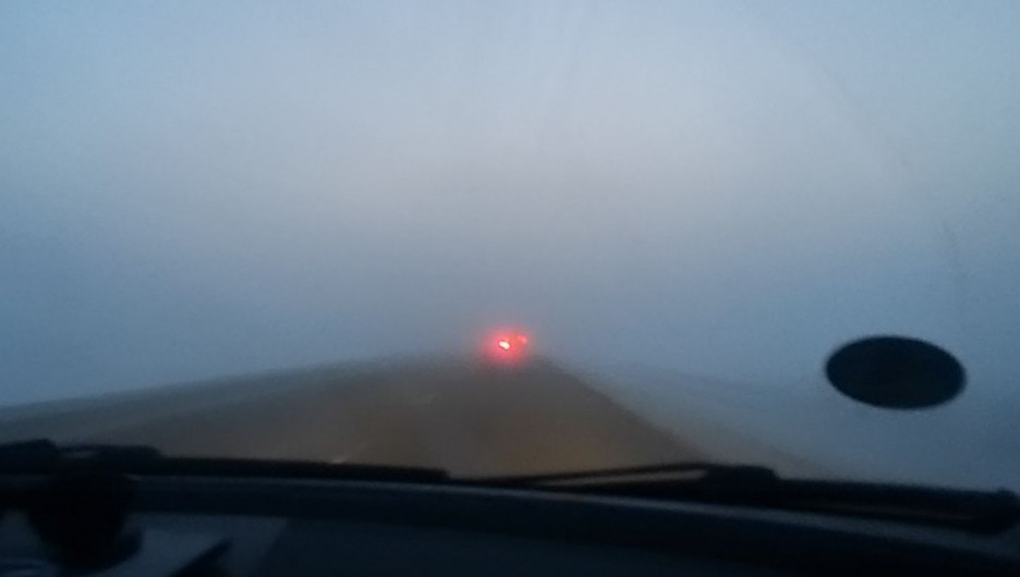 Туман на трассе в сторону Бийска.