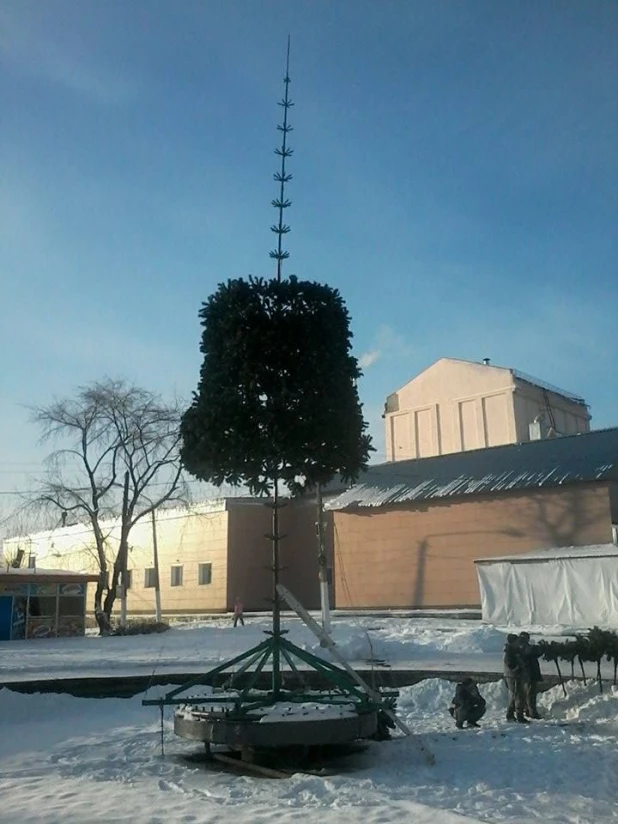 Установка елки в парке Центрального района.