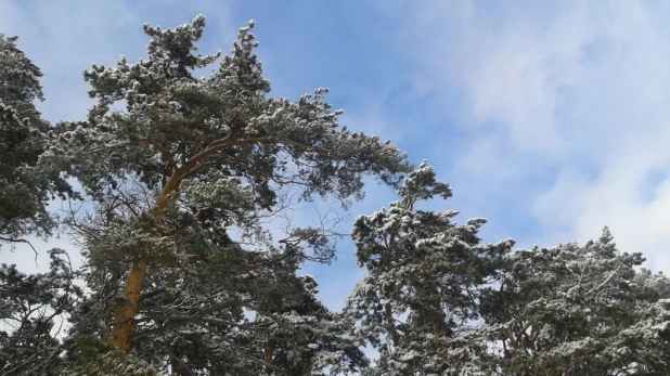 Заснеженный Барнаул.