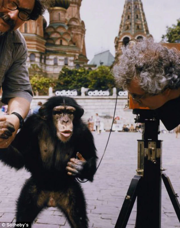 В этой серии фотографий 1998 года Комар и Меламид задали вопрос о роли человеческой расы на земле.