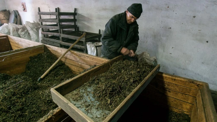 &quot;Алтайская чайная компания&quot; налаживает поставки в Крым.