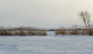 Замерзший пруд, лед.