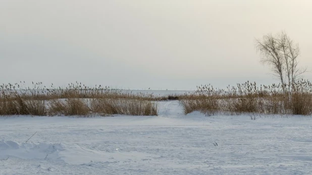 Замерзший пруд, лед.