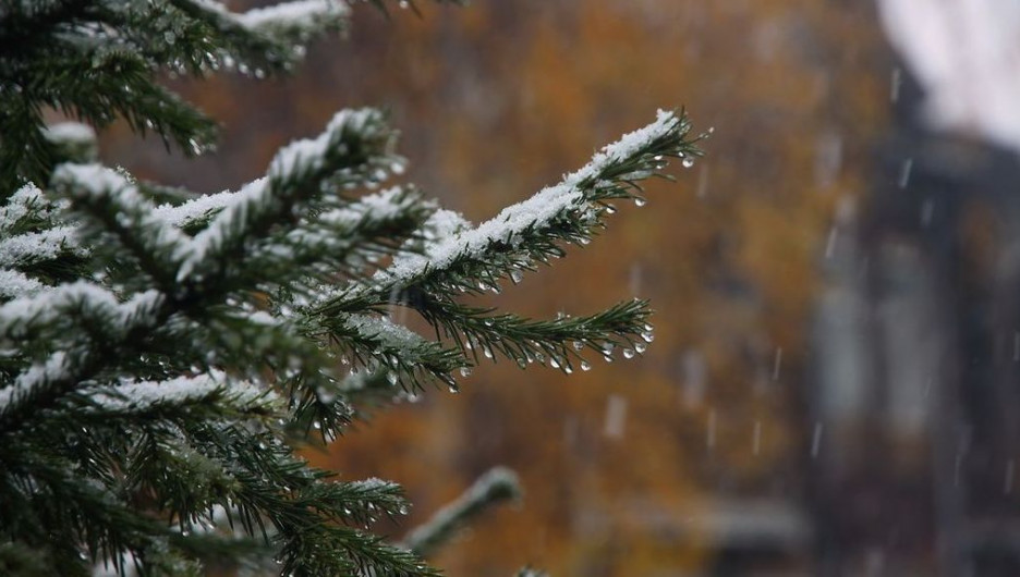 Метели и гололед. Погода в Алтайском крае и Барнауле 6 января 