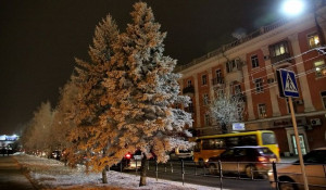 Проспект Ленина в Барнауле. Пешеходный переход. Зима в Барнауле.