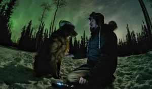 Собаки, покорившие Интернет.