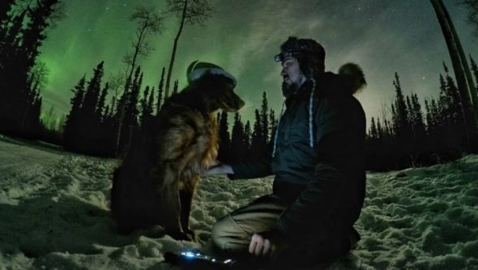 Собаки, покорившие Интернет.