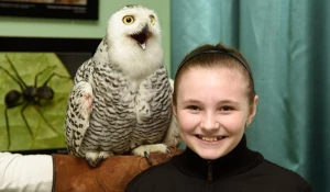 Большой бердвочерский день.