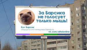 Предполагаемый агитационный плакат за кота Барсика.