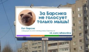 Предполагаемый агитационный плакат за кота Барсика.