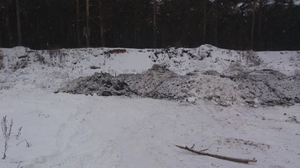 Свалка в районе Булыгинского кладбища.