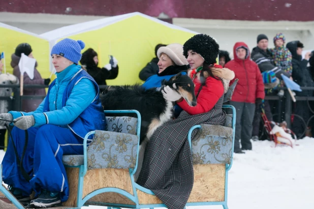 Торжественное открытие "Алтайской зимовки-2015". Барнаул, 12 декабря 2015 года.