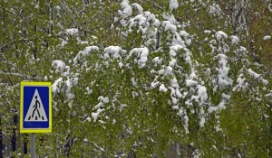 Снег весной.