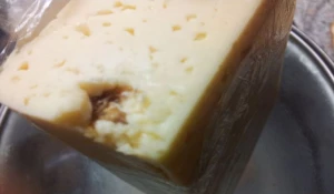 Таракан в алтайском сыре.