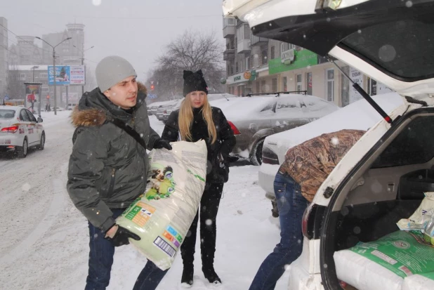 Корм и лекарства доставфили в приют для животных "Ласка".