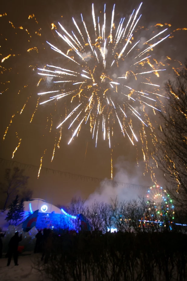 Открытие главной городской ёлки. 30 декабря 2015 года.