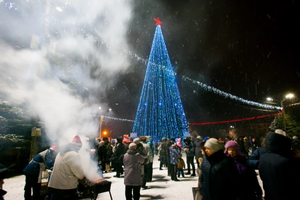 Открытие главной городской ёлки. 30 декабря 2015 года.