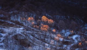 Фотографии Дито Тедиашвили